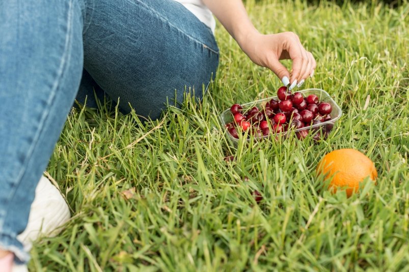 "Zlaté" hnojivo pro třešně v květnu a srpnu - sklizeň vás omrzí.
